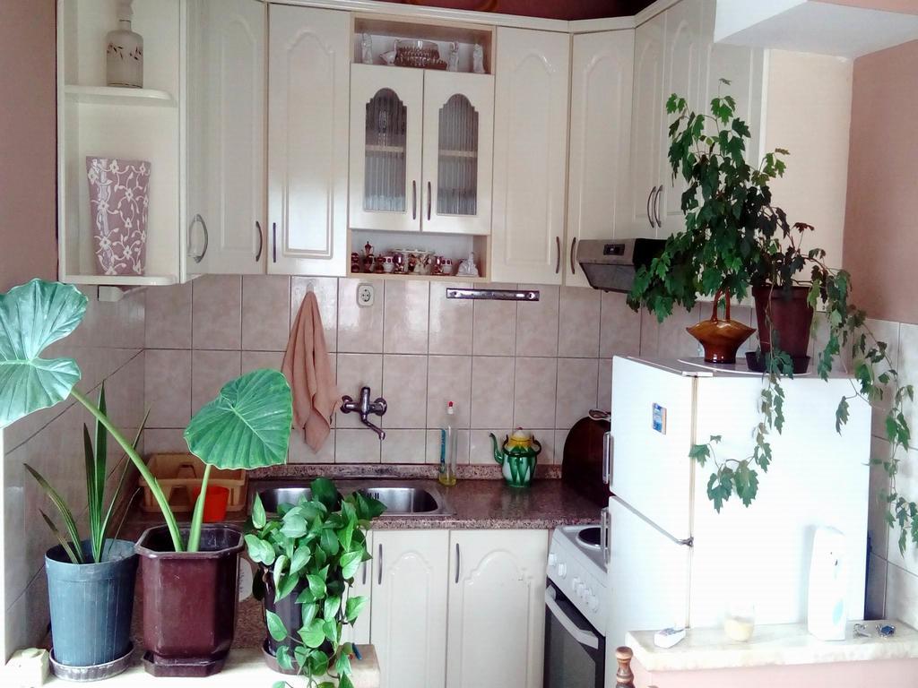 Apartment Luka Ohrid
